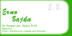 erno bajka business card